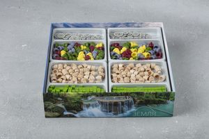 Earth: Meeple House Trays