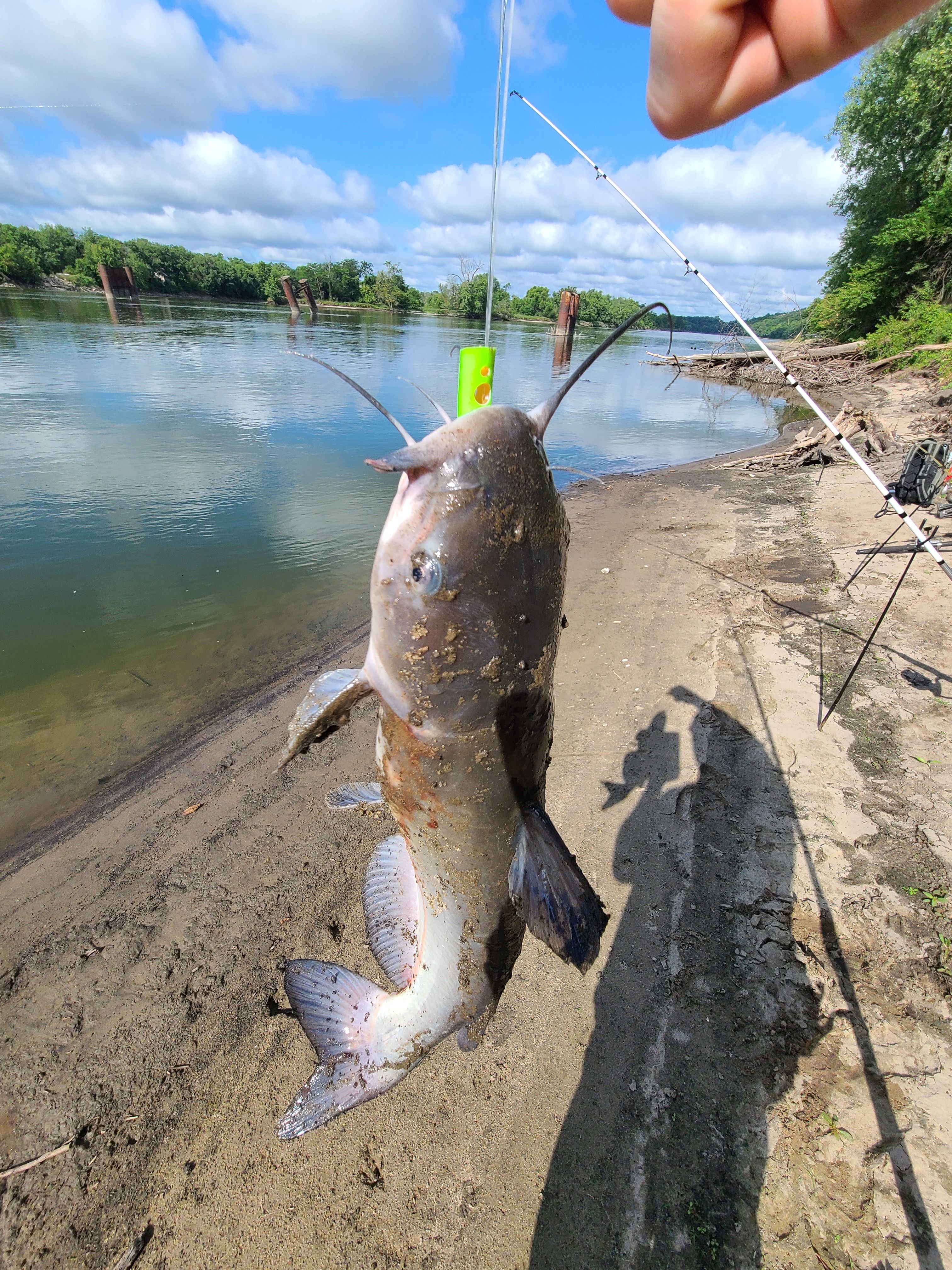 crab pot fishing pole Dev CP 100 Boat Rod Holder Puller Hauler CHOOSE SIZE:#10 As you quickly retrieve rubber reel cover Chinese Fishing Nets, Kochi,