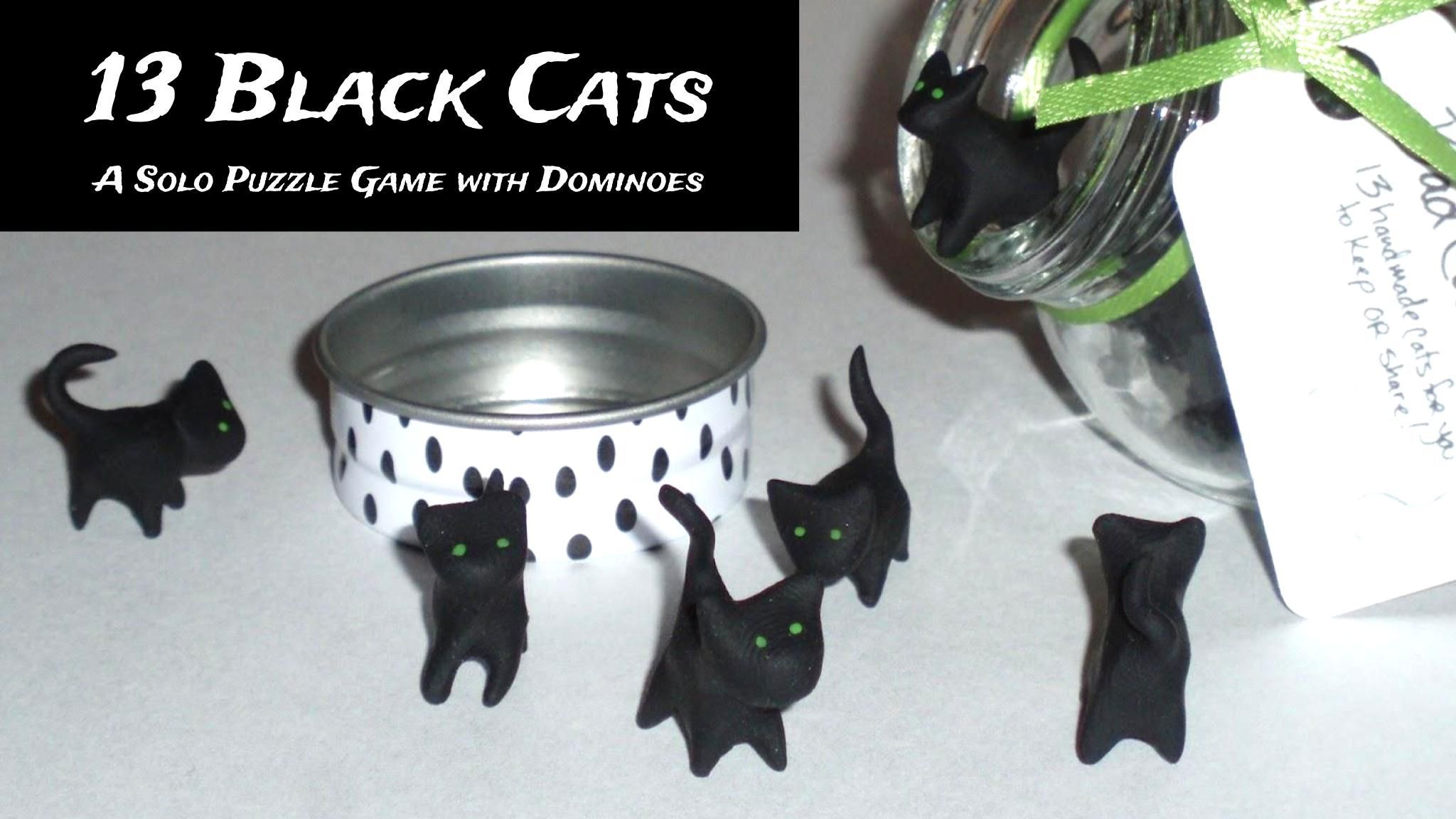 13 Black Cats cover