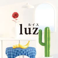luz