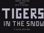 Video Game: Tigers in the Snow