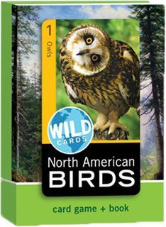 Wild Cards: North American Birds box art