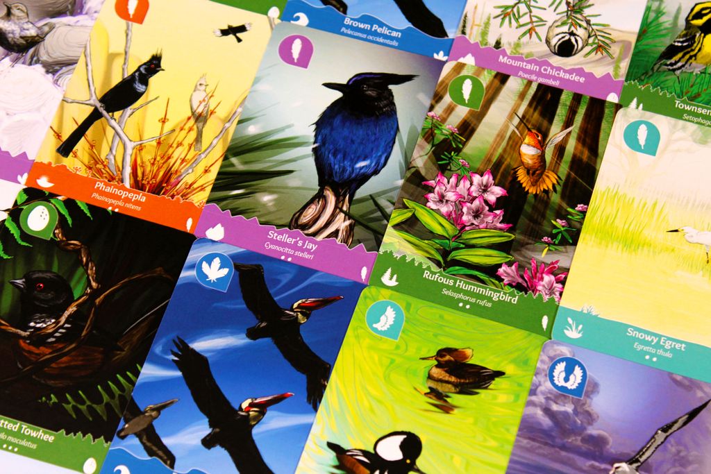 Illustration 4 de Birds of a Feather: Western North America