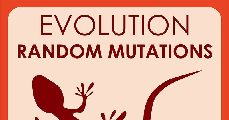 Evolution: Random Mutations | Board Game | BoardGameGeek