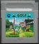 Video Game: Golf (1984)
