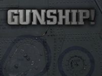 Video Game: Gunship!