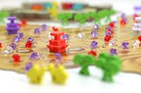 Terraforming the dessert into a flower garden in…