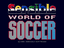 Video Game: Sensible World of Soccer