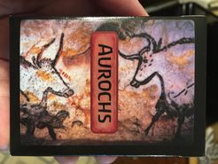 Aurochs