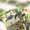 Players Forest View