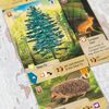 Forest Shuffle