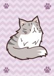 Cat Rescue: 5.Color expansion