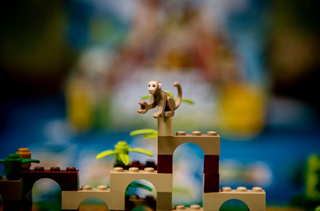 Monkey Palace @BoardGameColors