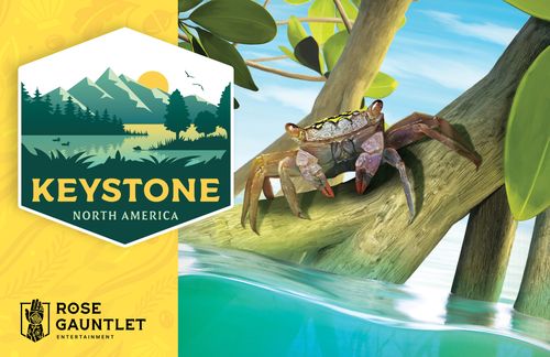 Board Game: Keystone: North America