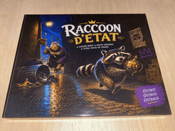 Raccoon d'état