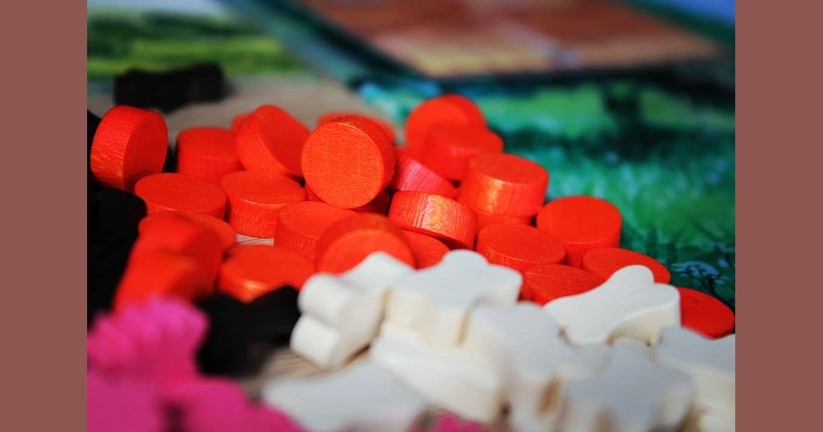 Dog Park Board Game Rules