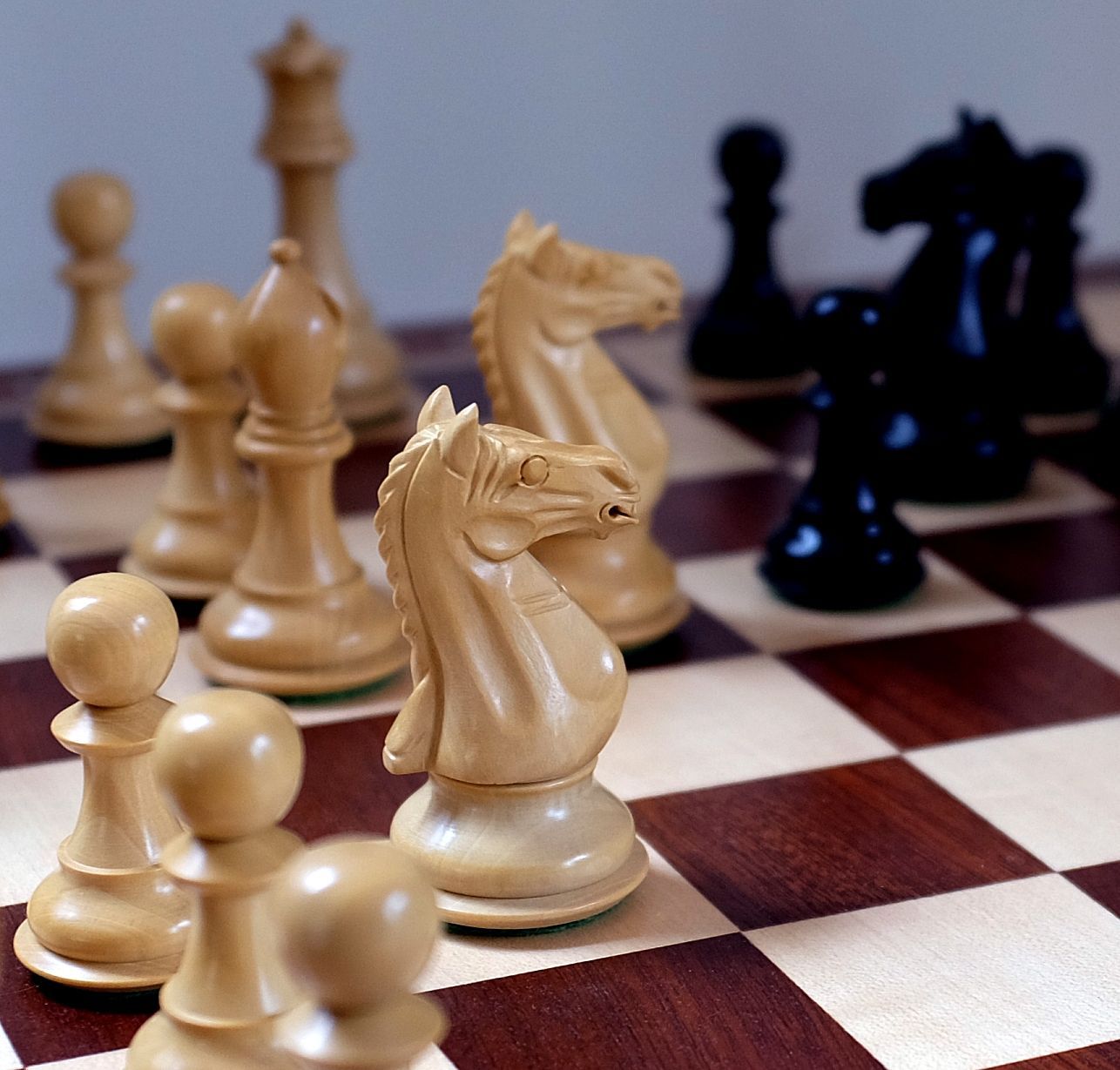 Pocket Knight Chess