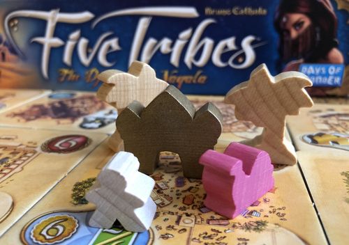 Board Game: Five Tribes