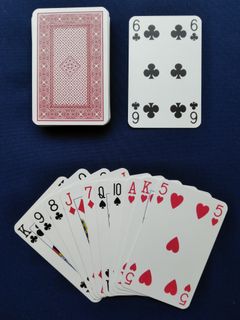 マストフォローソリティア (Follow-the-Suit Solitaire)