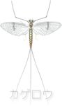 カゲロウ (Mayfly) (Japanese)