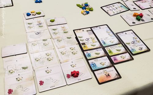 From gallery of punkin312