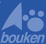 Board Game Publisher: Bouken