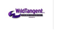 Video Game Publisher: WildTangent