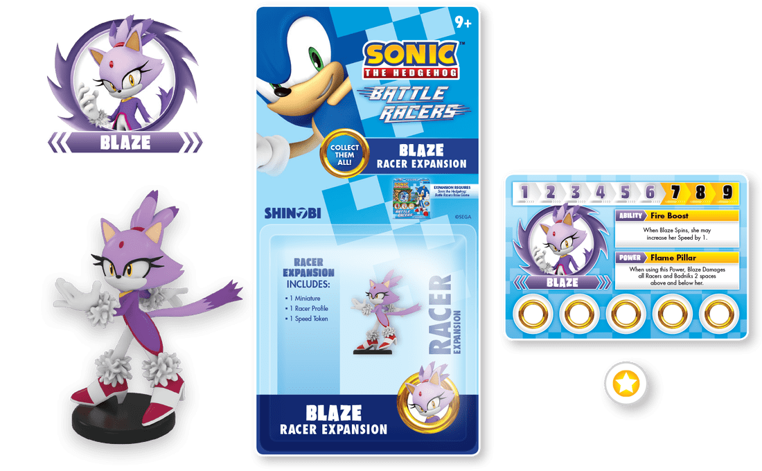 Sonic the Hedgehog: Battle Racers – Blaze Racer Expansion