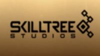 Video Game Developer: Skilltree Studios