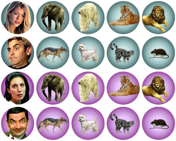 Fauna
