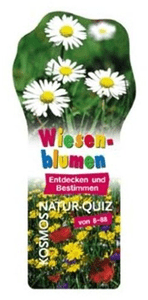 Wiesenblumen