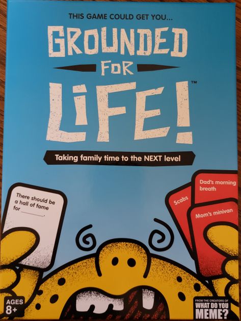 grounded for life board game instructions