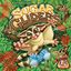 Board Game: Sugar Gliders