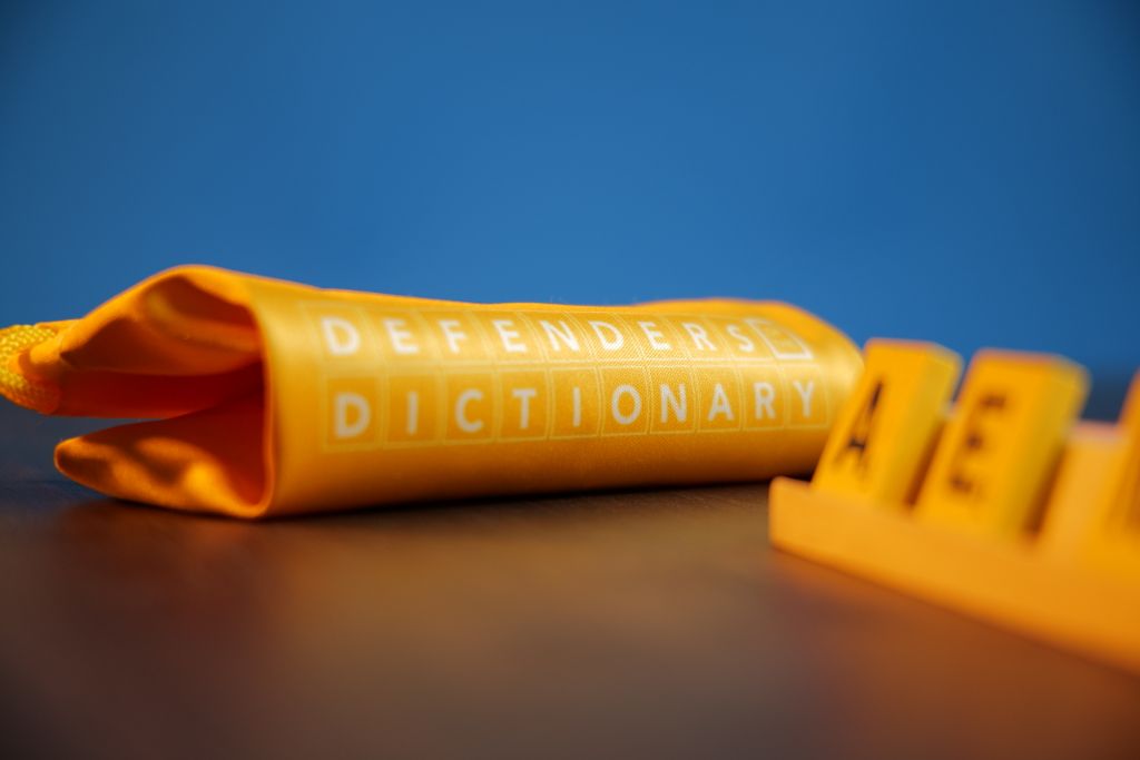 Illustration 10 de Defenders of the Dictionary