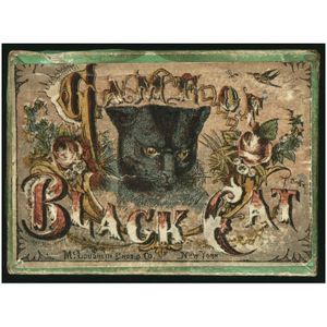 Game of Black Cat