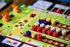 Windmill Valley: Tulips Upgrade Kit
