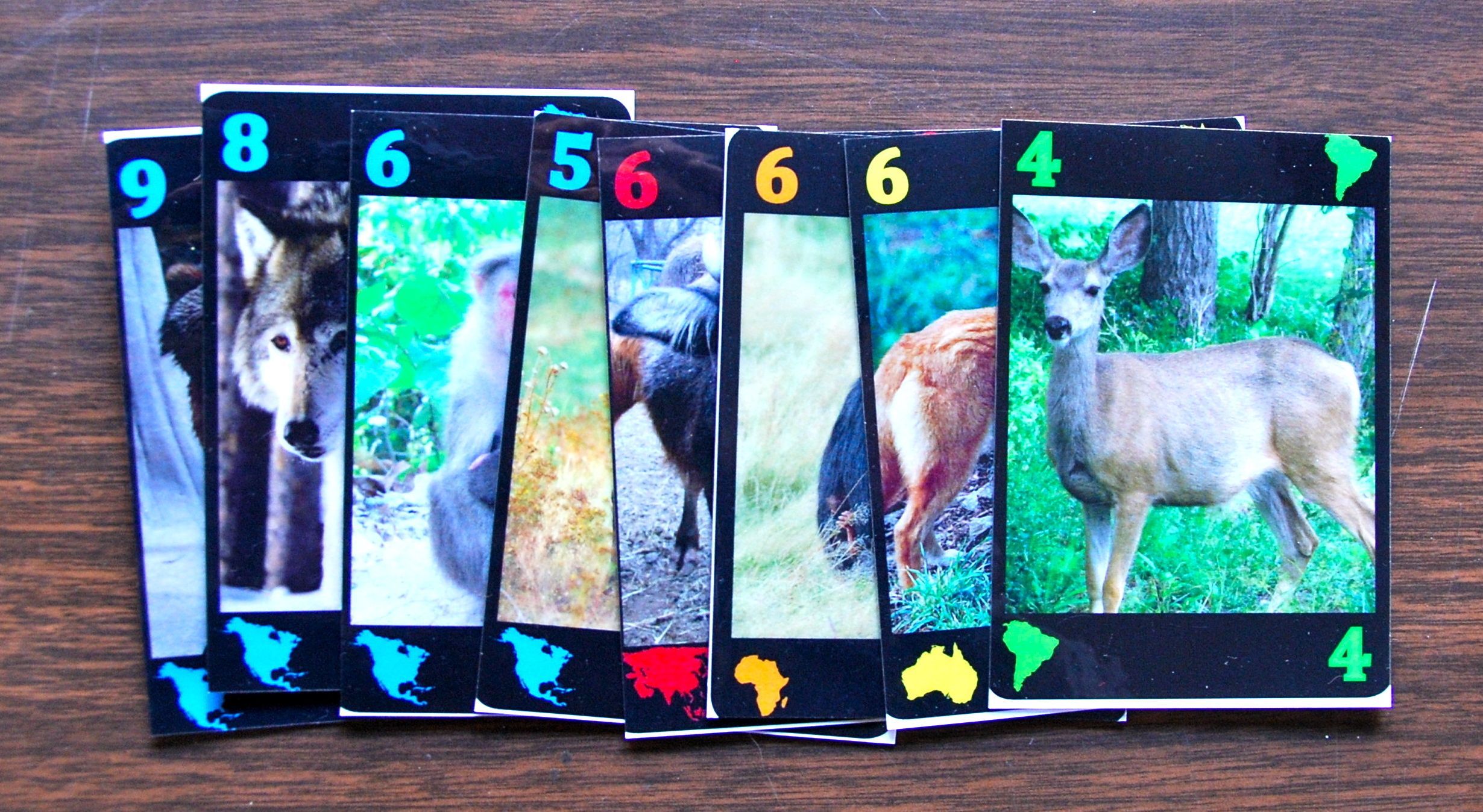 Menagerie Mogul cover art