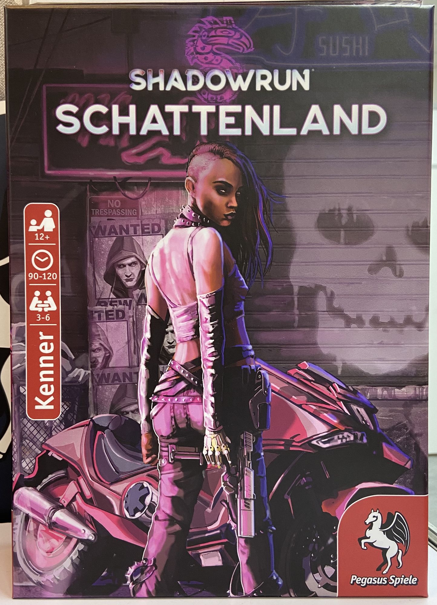 Shadowrun: Schattenland