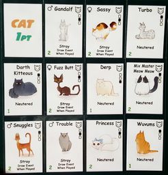 Crazy Cat Lady