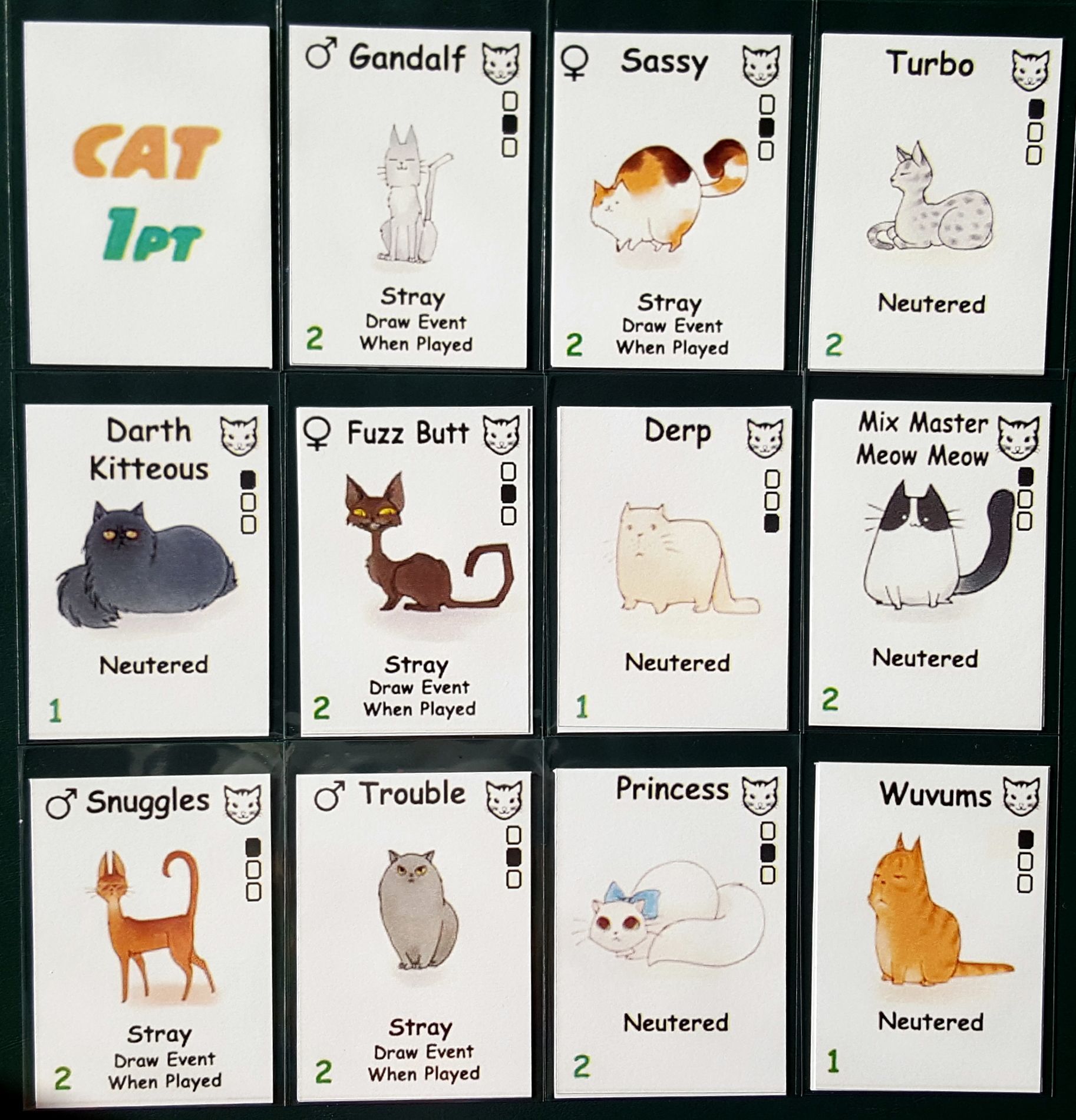 Crazy Cat Lady