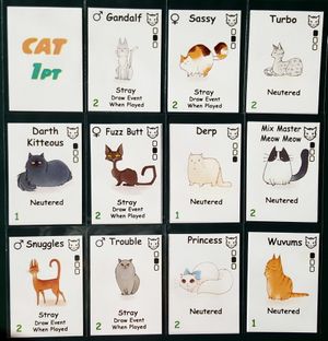 Crazy Cat Lady