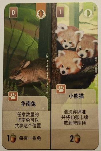 Forest Shuffle: Chinese Hare / Red Panda Promo Card