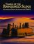 RPG Item: Temple of the Banished Suns