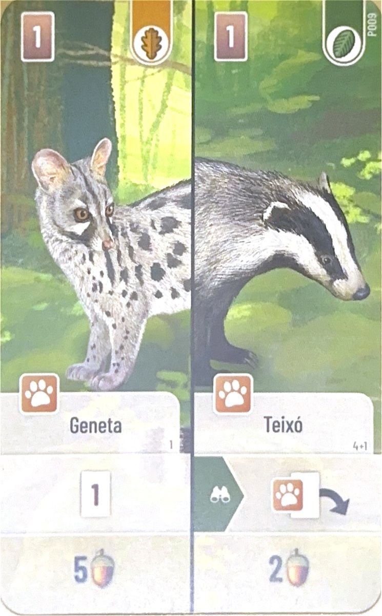 Embosca&#039;t: Geneta / Teixó Promo Card