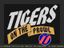 Video Game: Tigers on the Prowl II