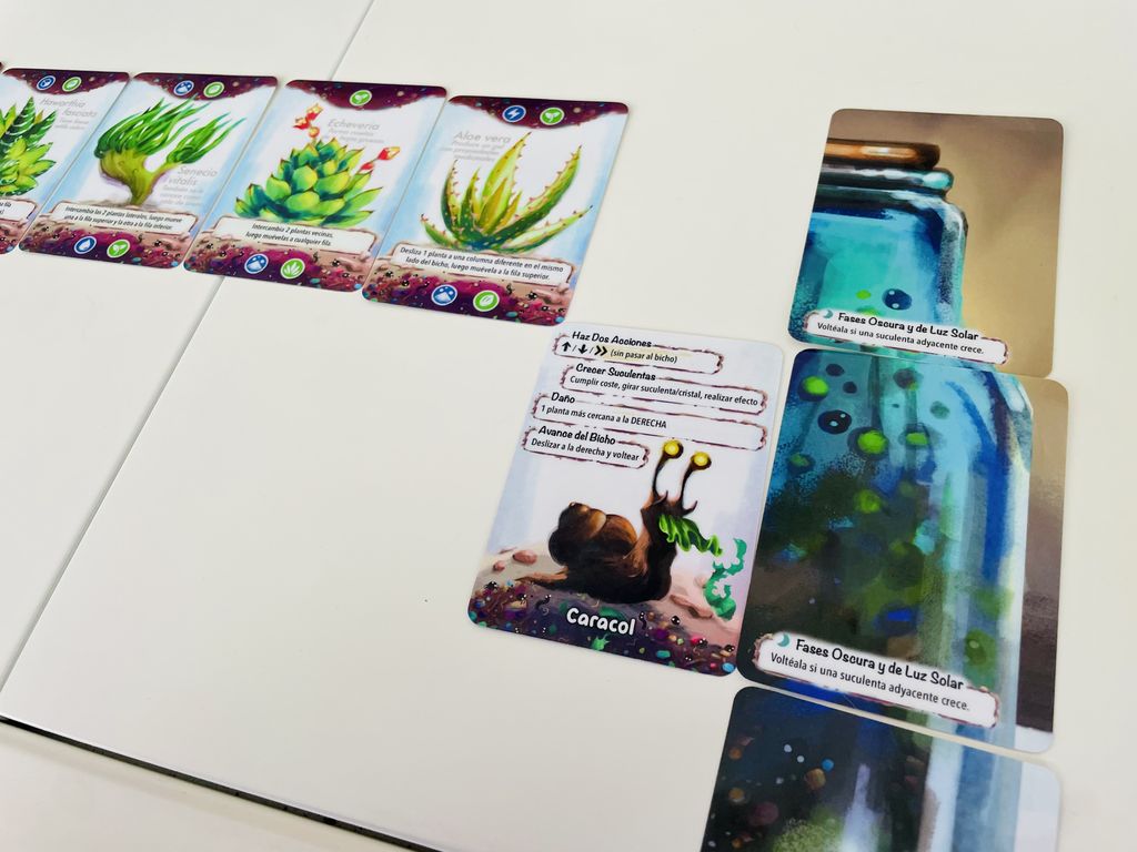 Illustration 4 de Glass Garden