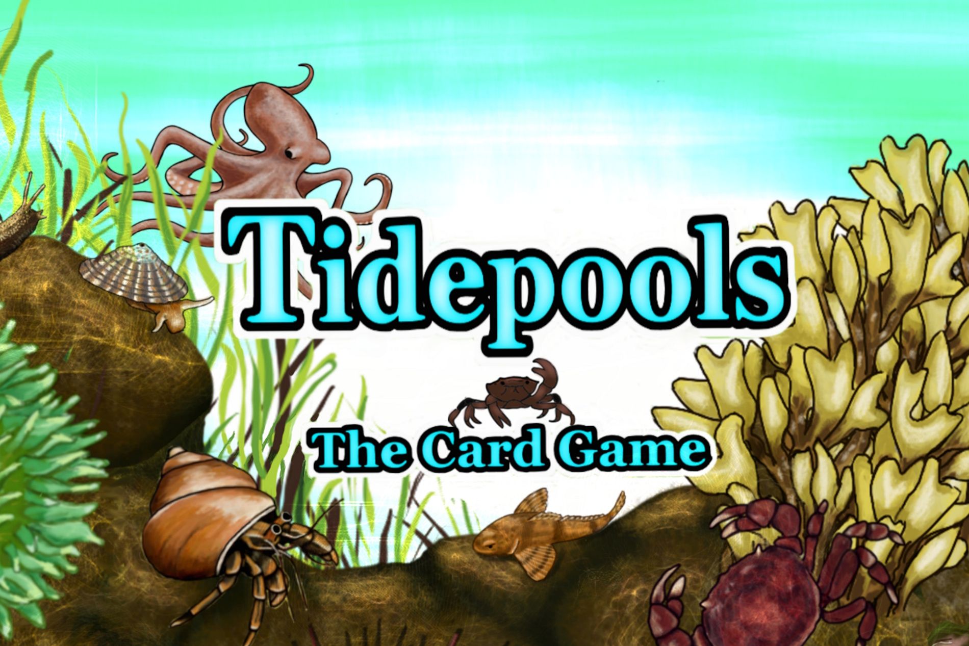 Cover art for Tidepools the Card Game
