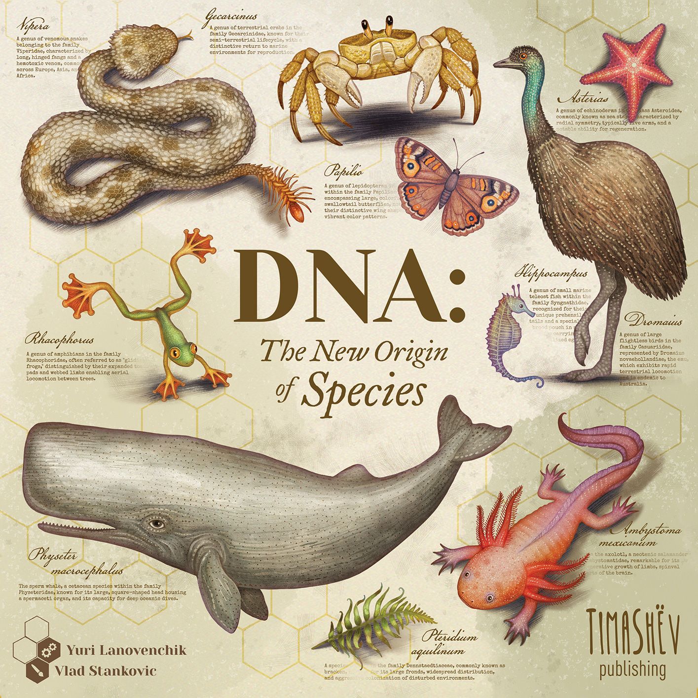 Boîte du jeu DNA: The New Origin of Species