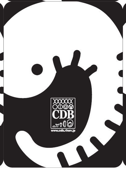 The RIKEN Center for Developmental Biology Card Game