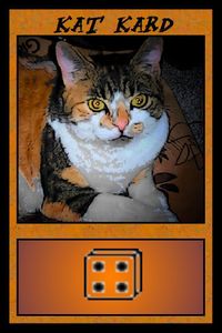 Cats in a Box: A Game of Feline Photography